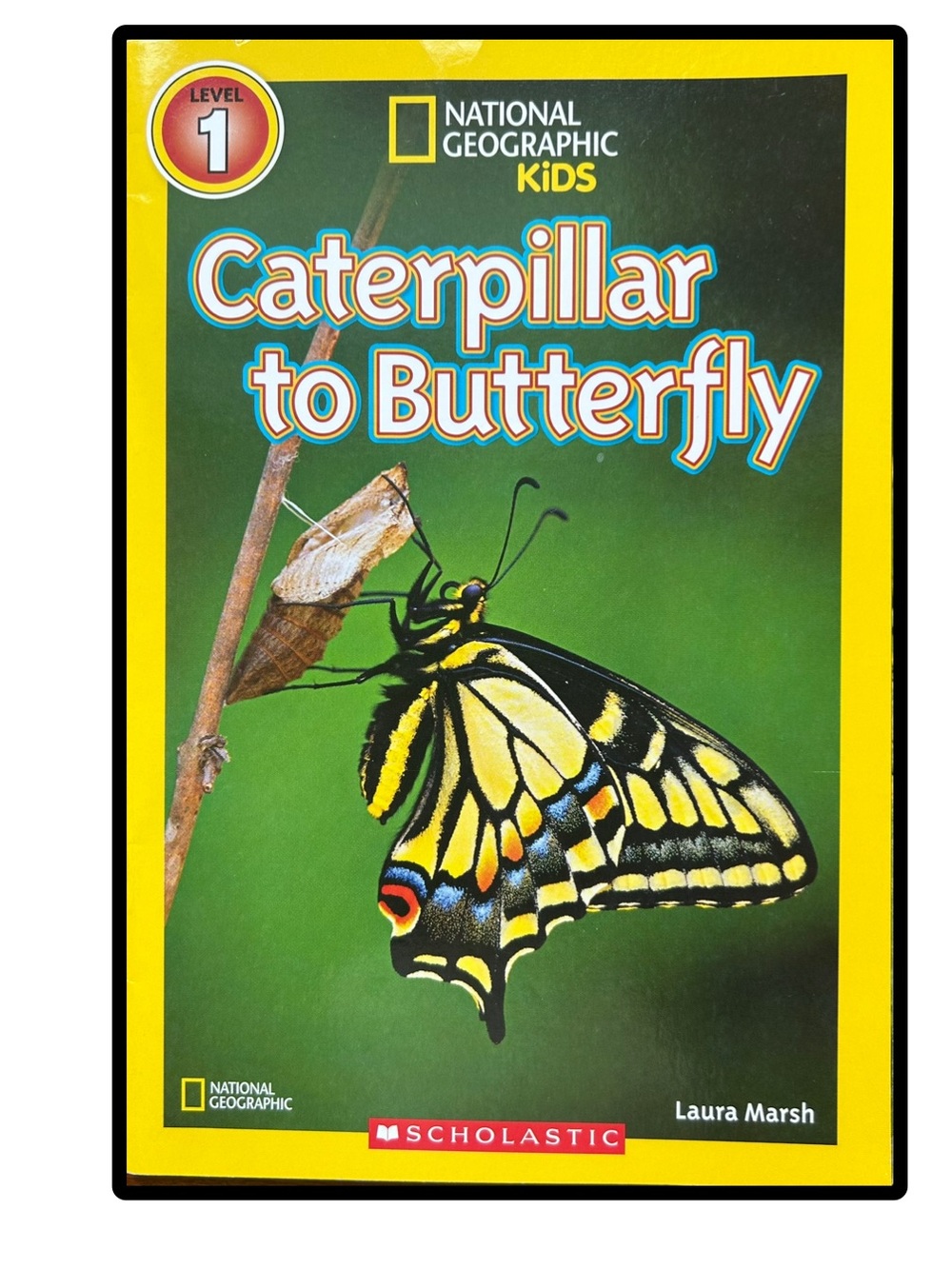 BUNDLE & SAVE🎉 National Geographic Kids Caterpillar to Butterfly Book